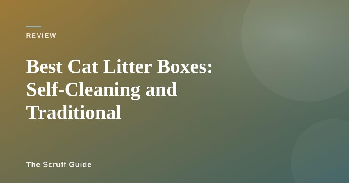 Clean modern cat litter box in a tidy home setting