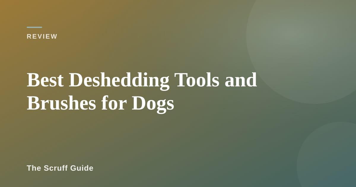 Grooming brush with dog fur on a clean surface