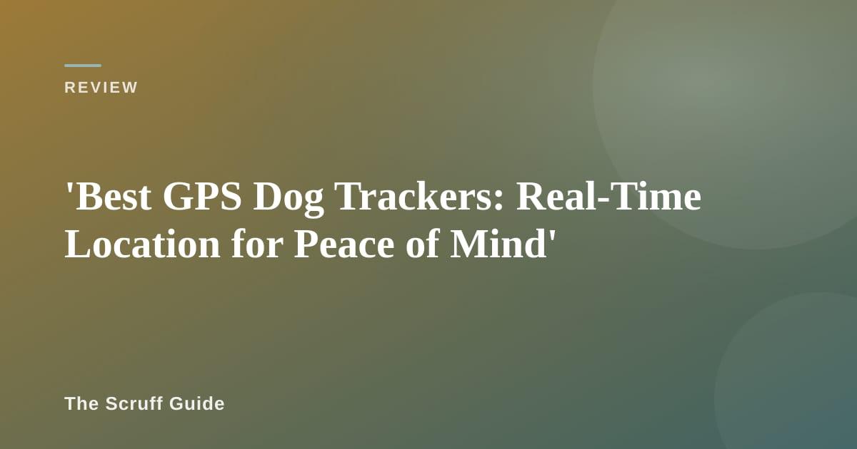 Dog wearing a GPS-enabled collar outdoors in a park