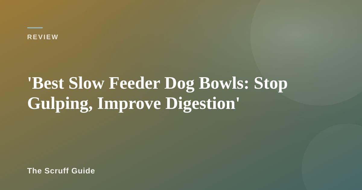 Dog eating from a maze-patterned slow feeder bowl