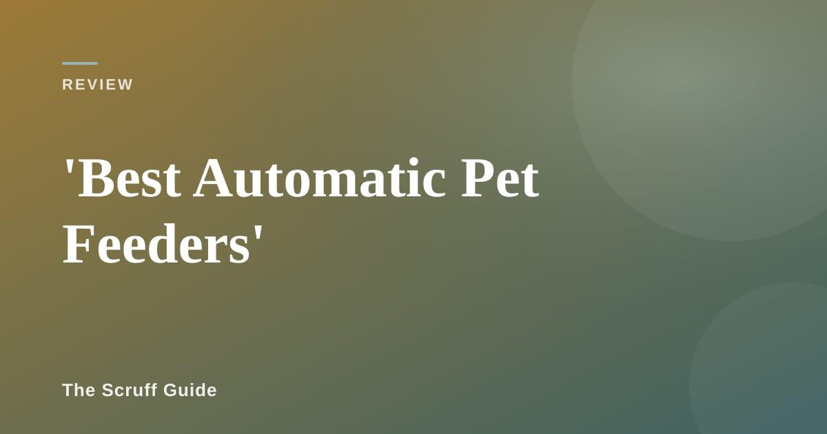 An automatic pet feeder dispensing kibble into a bowl with a cat approaching