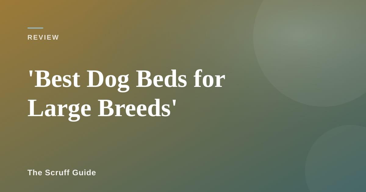 A large golden retriever resting comfortably on an orthopedic dog bed in a living room
