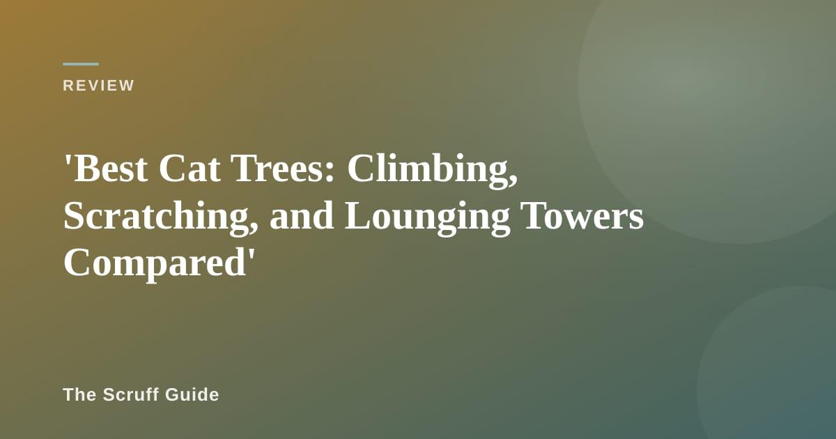 Cat lounging on a tall multi-level cat tree near a window