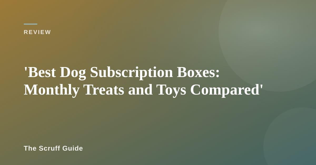 Excited dog surrounded by toys and treats from a subscription box