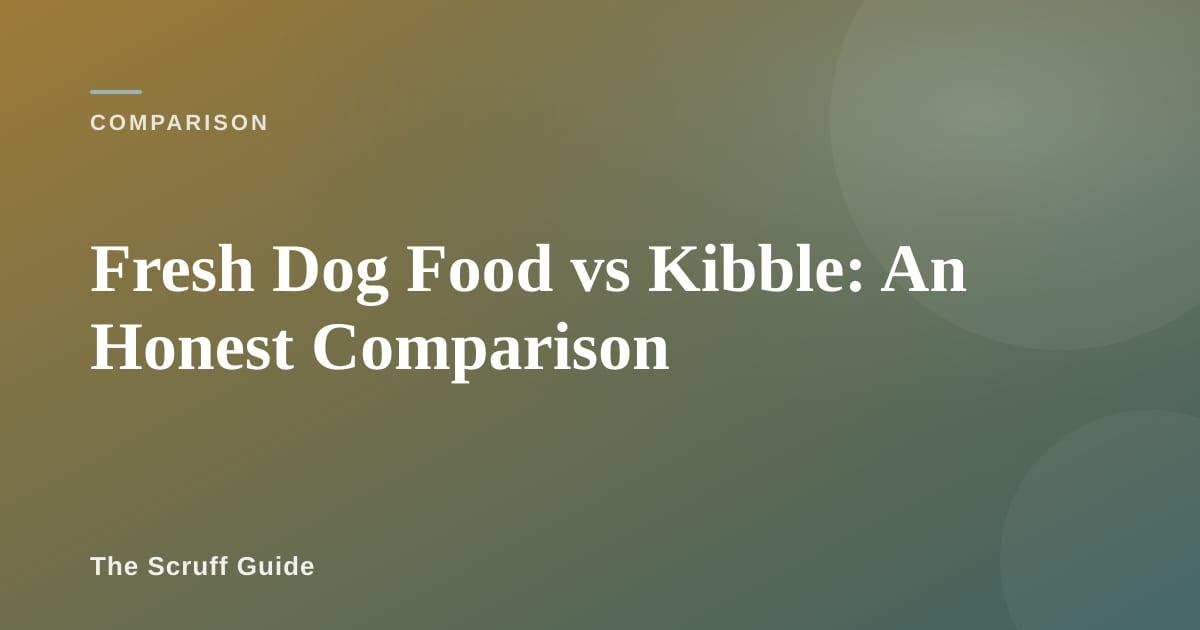 Side-by-side comparison of fresh dog food in a bowl and premium kibble in a bowl
