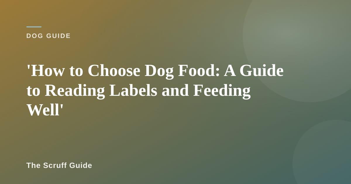 Various types of dog food including kibble and fresh food displayed in bowls on a kitchen counter