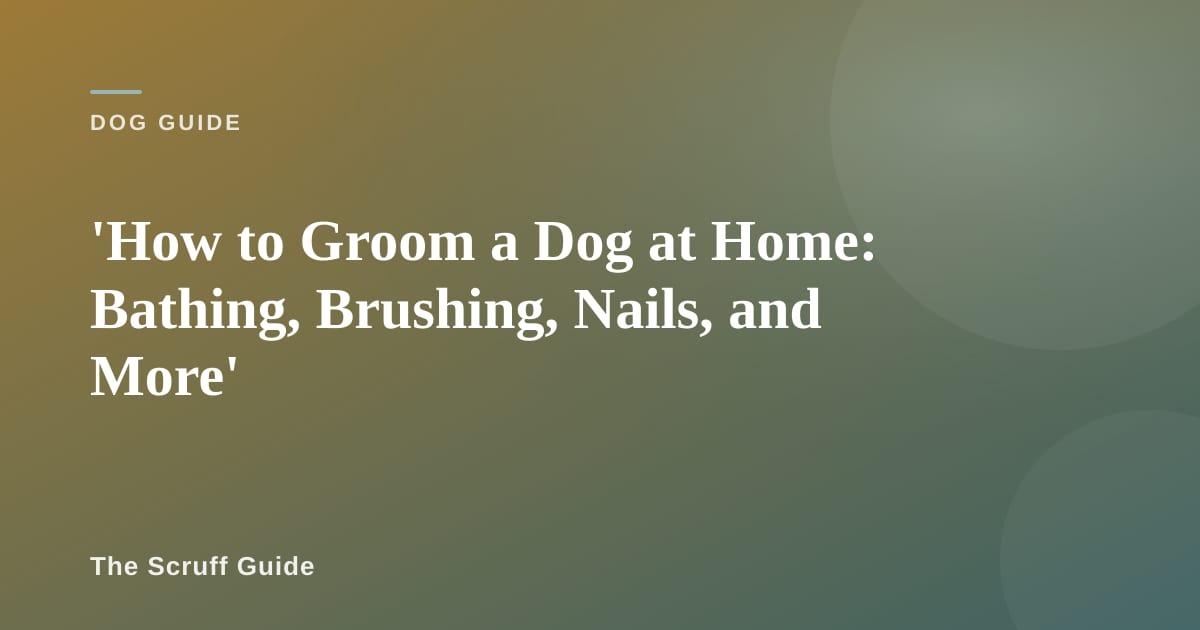 A dog being gently brushed by its owner on a grooming table at home
