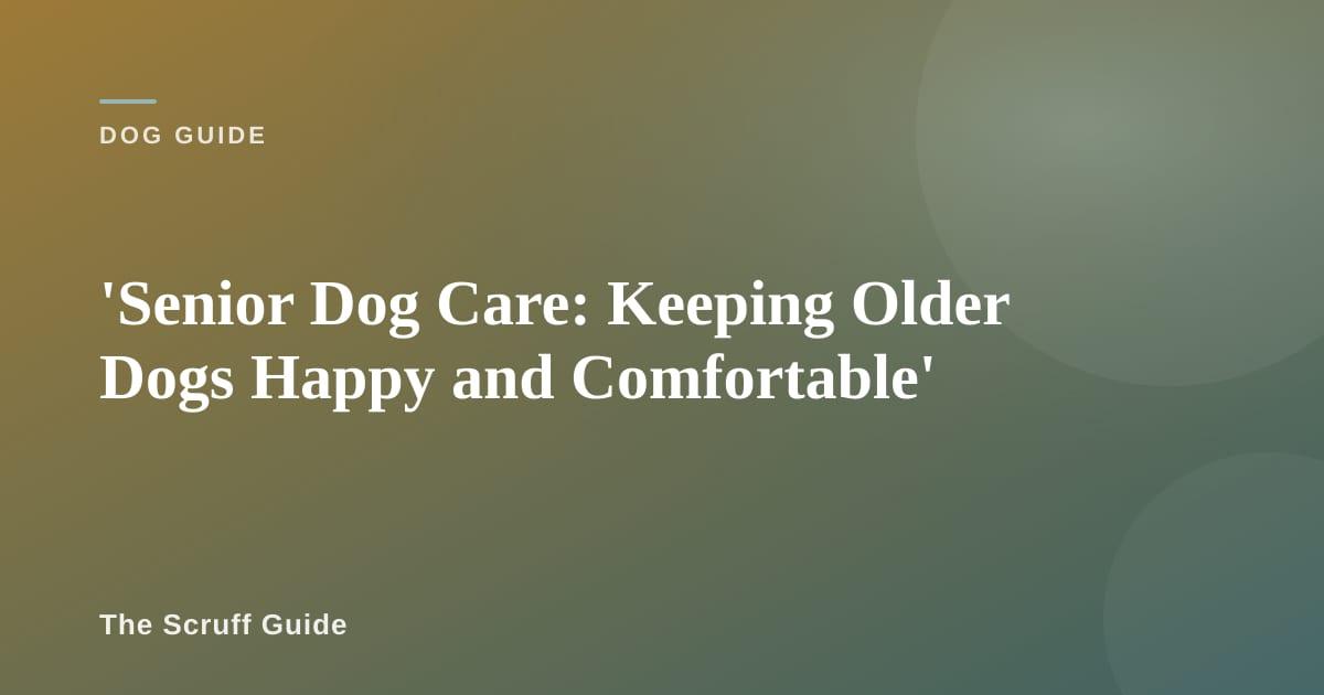 Grey-muzzled senior dog resting comfortably on an orthopedic bed