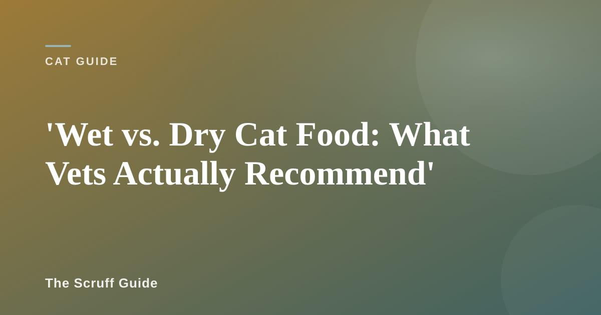 Two cat food bowls side by side showing wet and dry food options